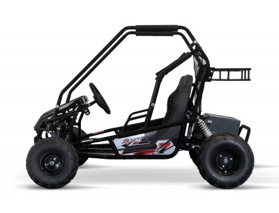 Buggies that fit in a mini sale
